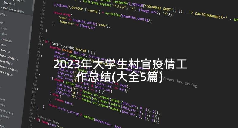 2023年大学生村官疫情工作总结(大全5篇)