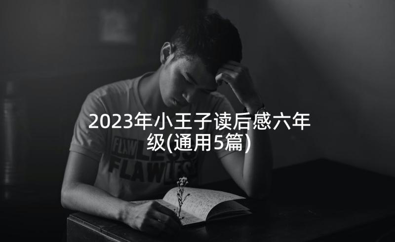 2023年小王子读后感六年级(通用5篇)