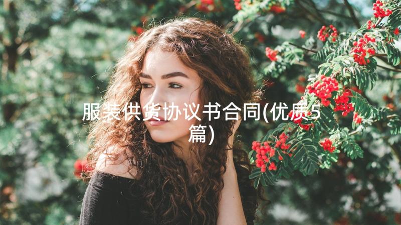 服装供货协议书合同(优质5篇)