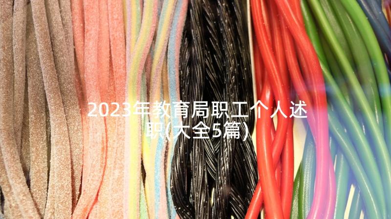 2023年教育局职工个人述职(大全5篇)