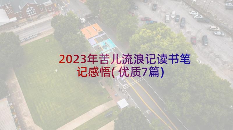 2023年苦儿流浪记读书笔记感悟(优质7篇)