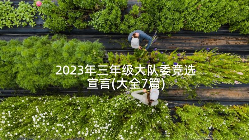 2023年三年级大队委竞选宣言(大全7篇)