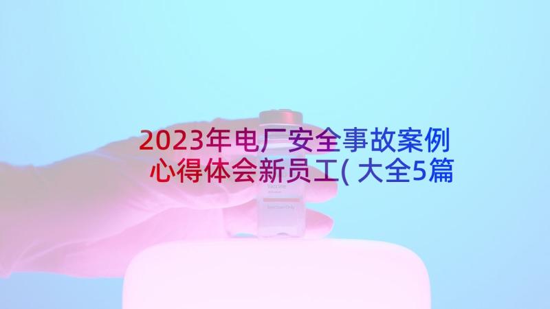 2023年电厂安全事故案例心得体会新员工(大全5篇)