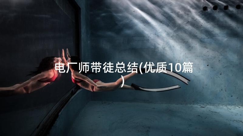 电厂师带徒总结(优质10篇)