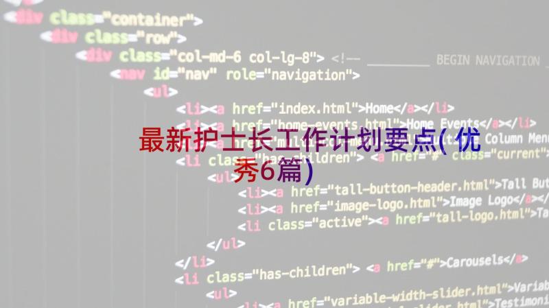最新护士长工作计划要点(优秀6篇)