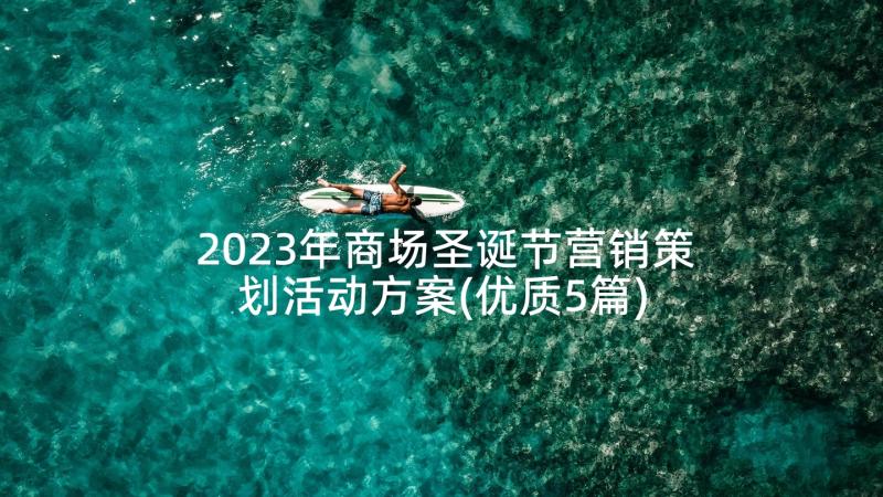 2023年商场圣诞节营销策划活动方案(优质5篇)