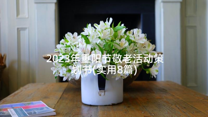 2023年重阳节敬老活动策划书(实用8篇)