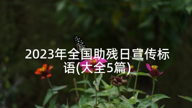 2023年全国助残日宣传标语(大全5篇)