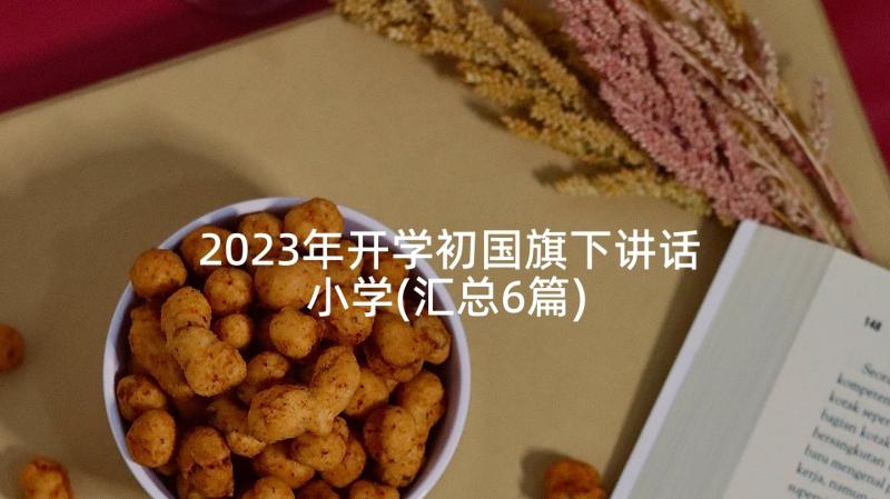 2023年开学初国旗下讲话小学(汇总6篇)