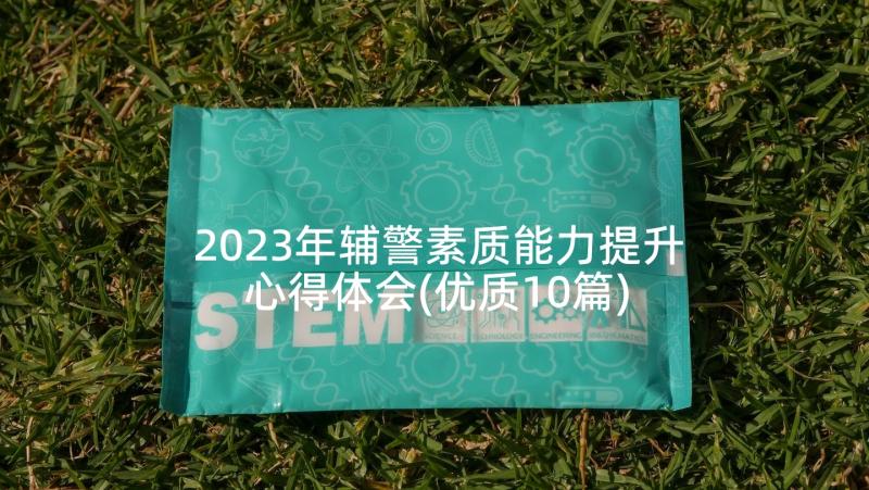 2023年辅警素质能力提升心得体会(优质10篇)