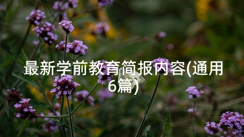 最新学前教育简报内容(通用6篇)