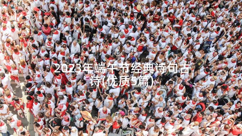 2023年端午节经典诗句古诗(优质5篇)