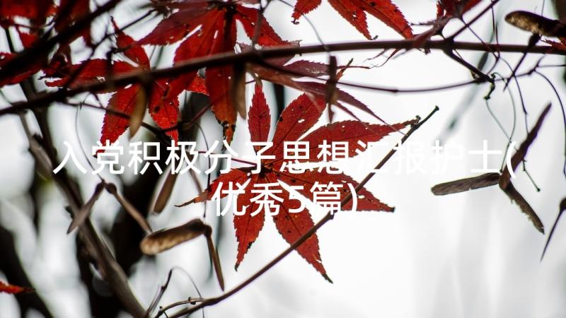 入党积极分子思想汇报护士(优秀5篇)