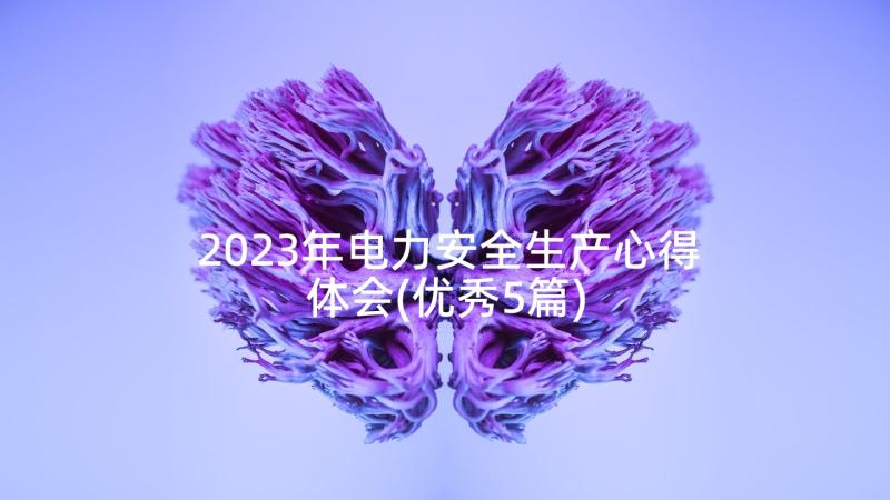 2023年电力安全生产心得体会(优秀5篇)