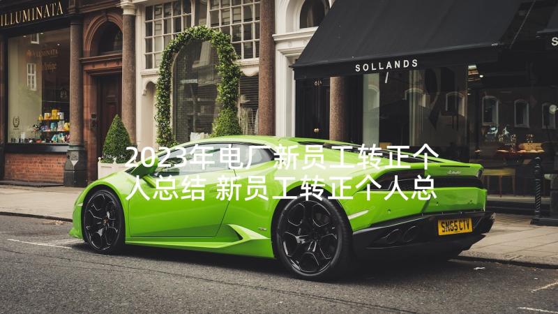 2023年电厂新员工转正个人总结 新员工转正个人总结(实用8篇)