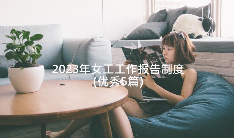 2023年女工工作报告制度(优秀5篇)