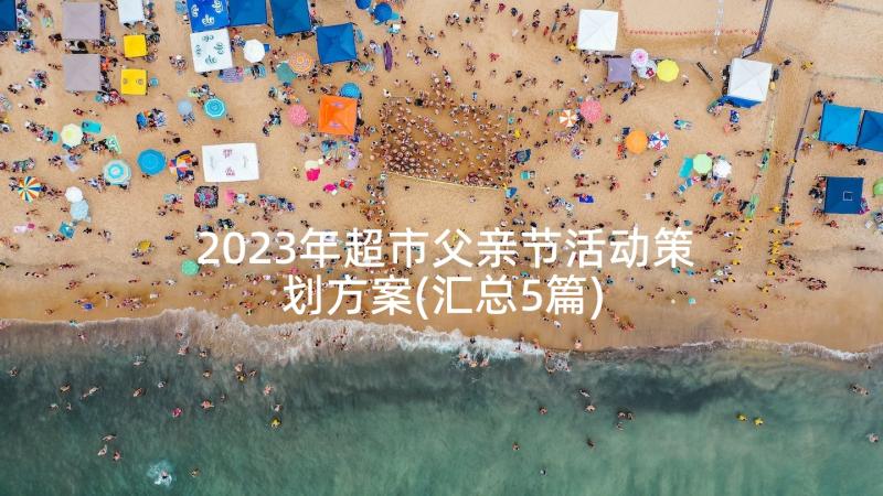 2023年超市父亲节活动策划方案(汇总5篇)