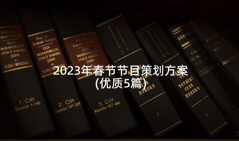 2023年春节节目策划方案(优质5篇)