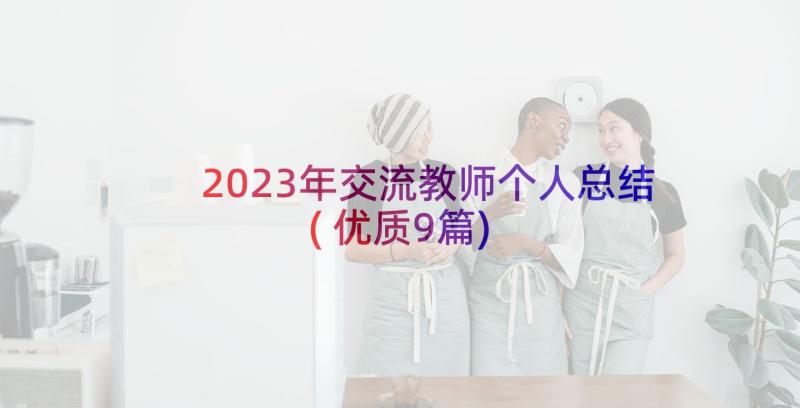 2023年交流教师个人总结(优质9篇)