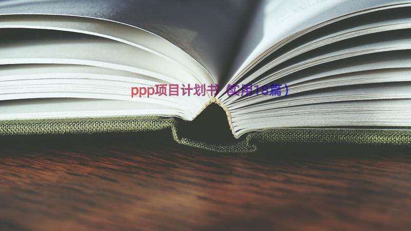 ppp项目计划书（实用18篇）