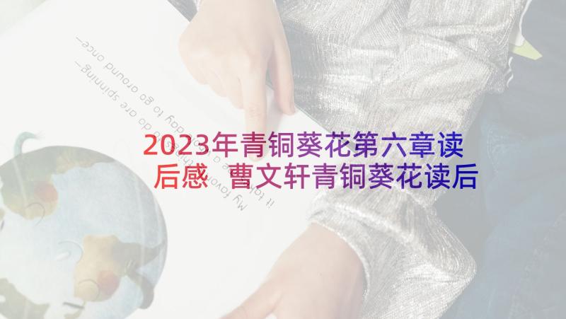 2023年青铜葵花第六章读后感 曹文轩青铜葵花读后感(优秀5篇)