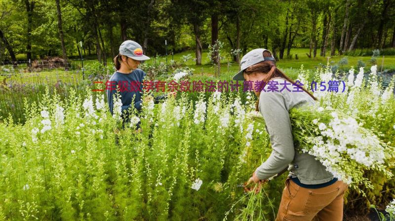 二年级数学有余数除法的计算教案大全（15篇）