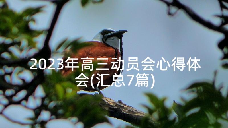 2023年高三动员会心得体会(汇总7篇)