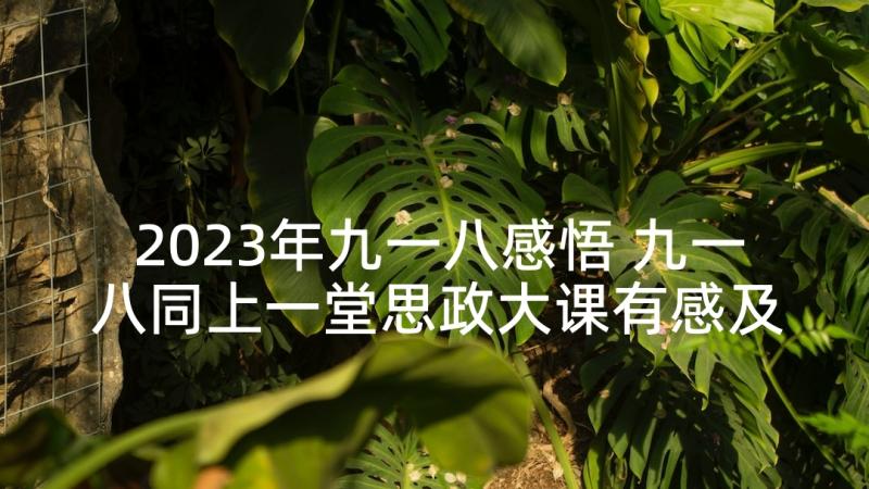 2023年九一八感悟 九一八同上一堂思政大课有感及感悟(汇总5篇)