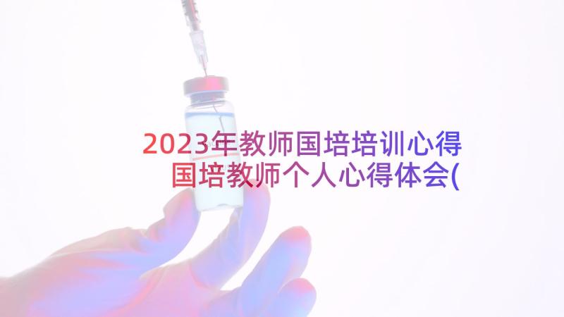 2023年教师国培培训心得 国培教师个人心得体会(实用5篇)