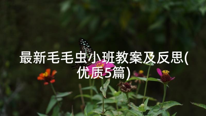 最新毛毛虫小班教案及反思(优质5篇)