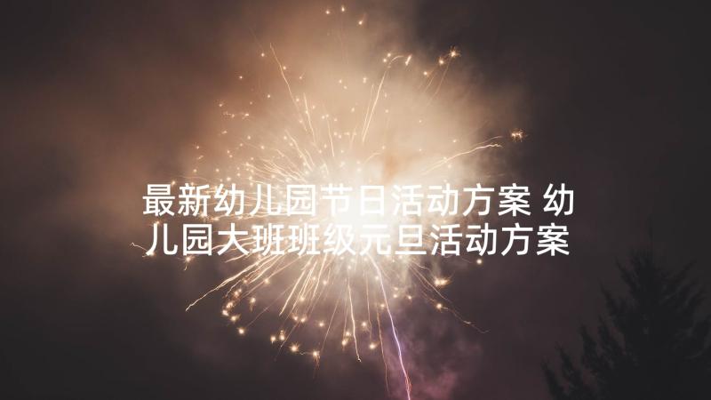 最新幼儿园节日活动方案 幼儿园大班班级元旦活动方案(通用5篇)