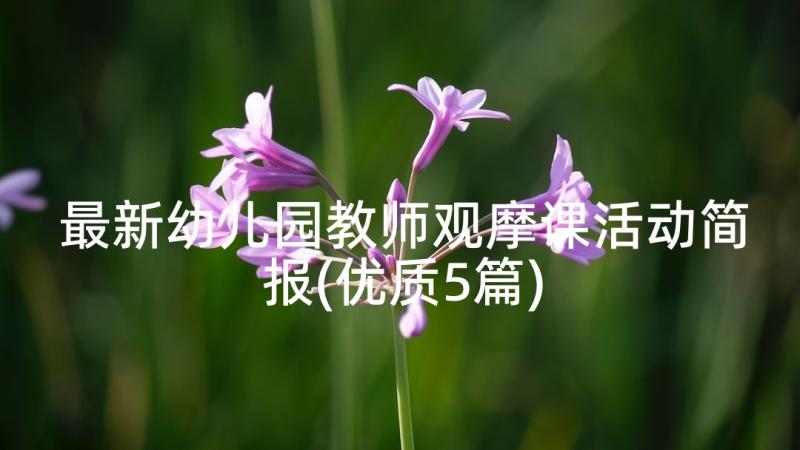 最新幼儿园教师观摩课活动简报(优质5篇)