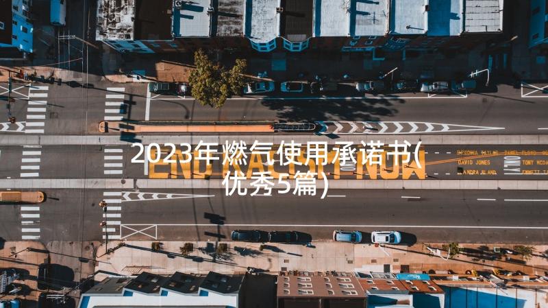 2023年燃气使用承诺书(优秀5篇)