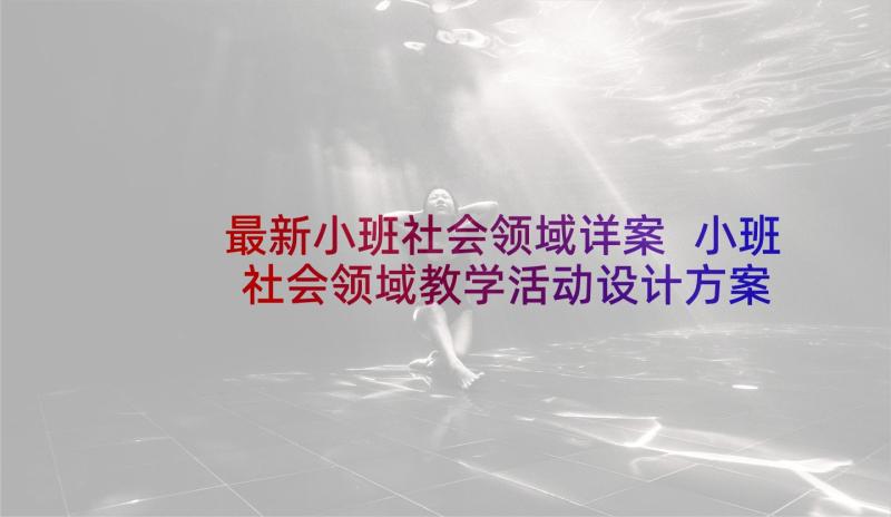 最新小班社会领域详案 小班社会领域教学活动设计方案(优秀8篇)