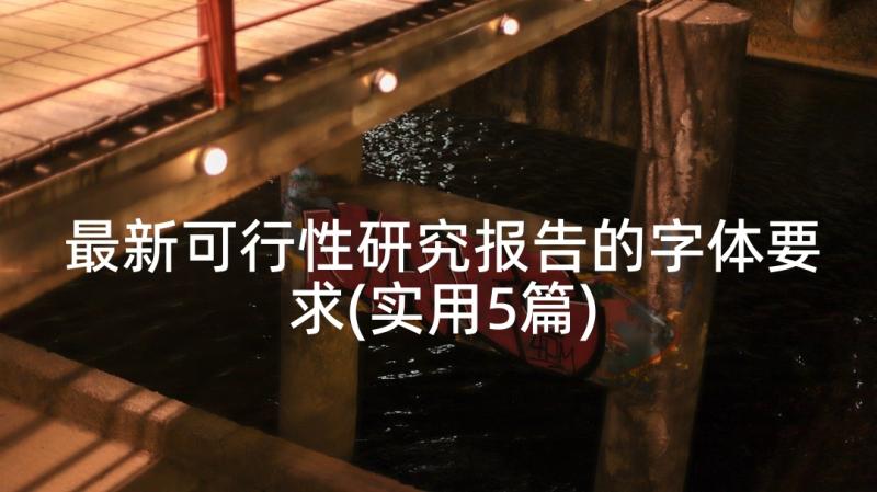 最新可行性研究报告的字体要求(实用5篇)