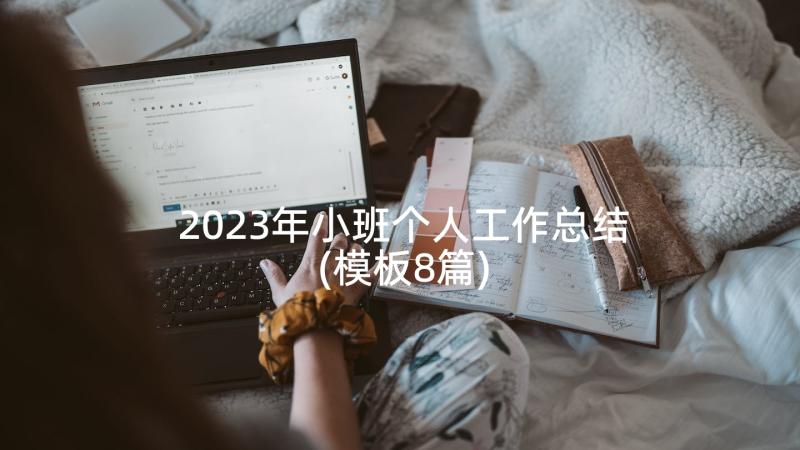 2023年小班个人工作总结(模板8篇)