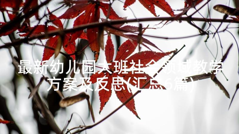 最新幼儿园大班社会领域教学方案及反思(汇总6篇)