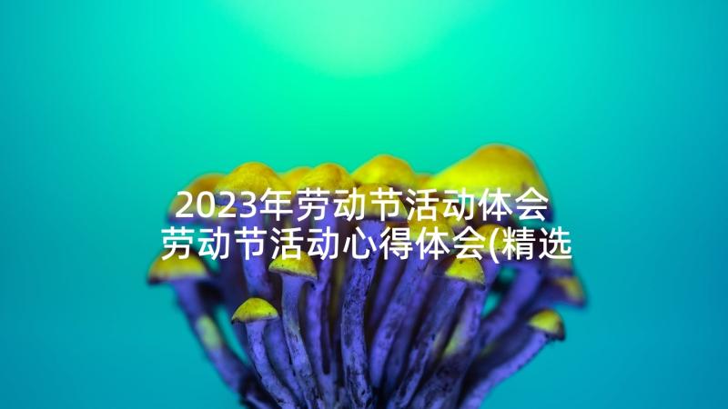 2023年劳动节活动体会 劳动节活动心得体会(精选10篇)