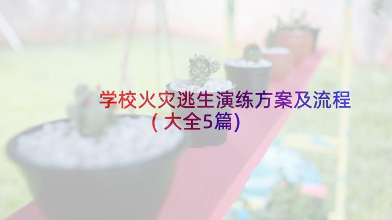 学校火灾逃生演练方案及流程(大全5篇)