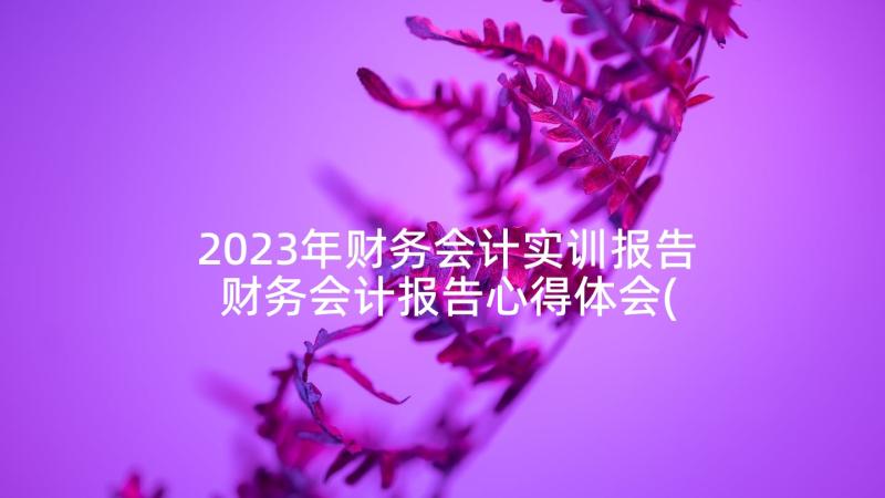 2023年财务会计实训报告 财务会计报告心得体会(模板7篇)