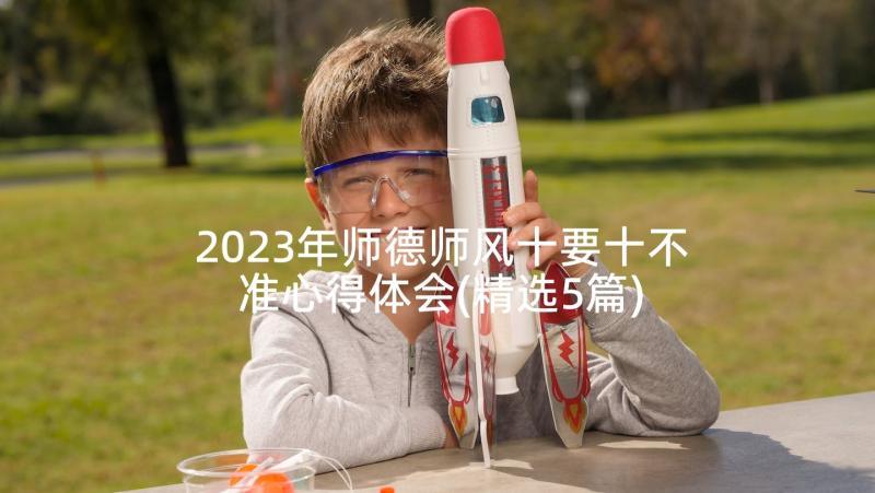 2023年师德师风十要十不准心得体会(精选5篇)
