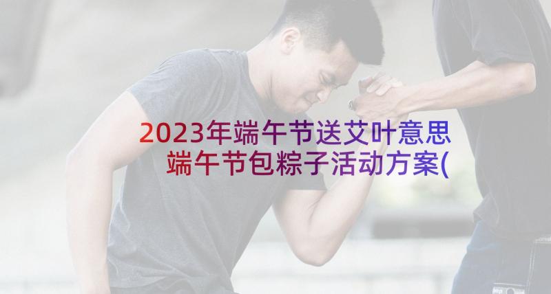 2023年端午节送艾叶意思 端午节包粽子活动方案(实用7篇)