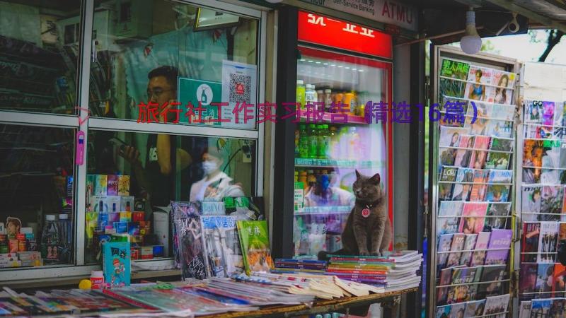 旅行社工作实习报告（精选16篇）