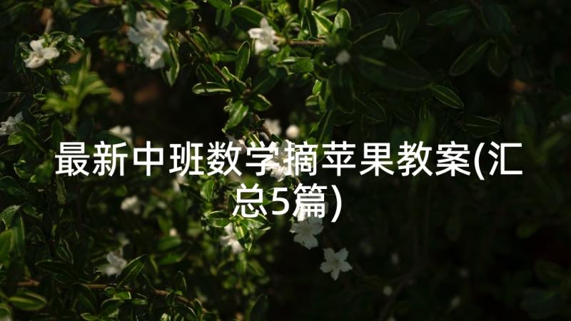 最新中班数学摘苹果教案(汇总5篇)