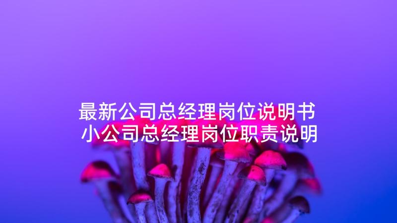 最新公司总经理岗位说明书 小公司总经理岗位职责说明书(通用5篇)