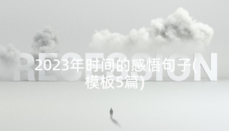 2023年时间的感悟句子(模板5篇)