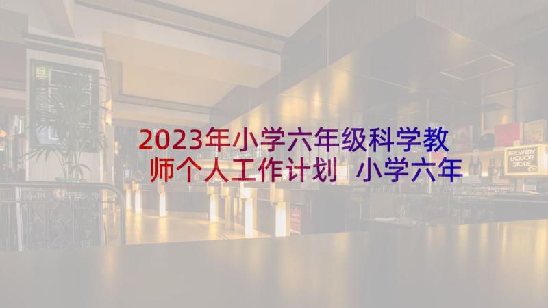 2023年小学六年级科学教师个人工作计划 小学六年级个人工作计划(大全9篇)