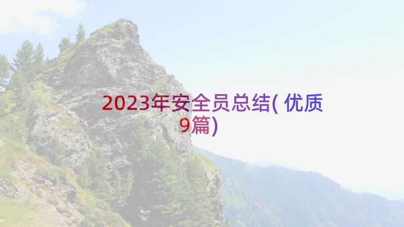 2023年安全员总结(优质9篇)