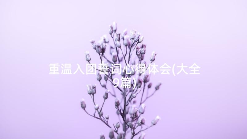 重温入团誓词心得体会(大全9篇)