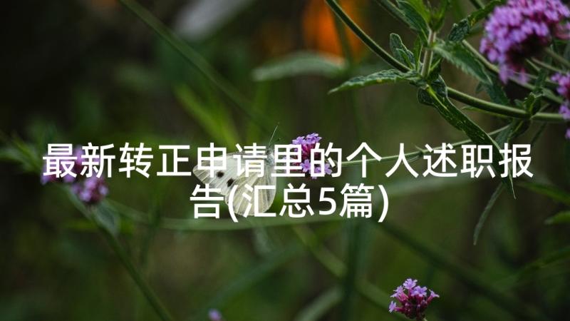 最新转正申请里的个人述职报告(汇总5篇)